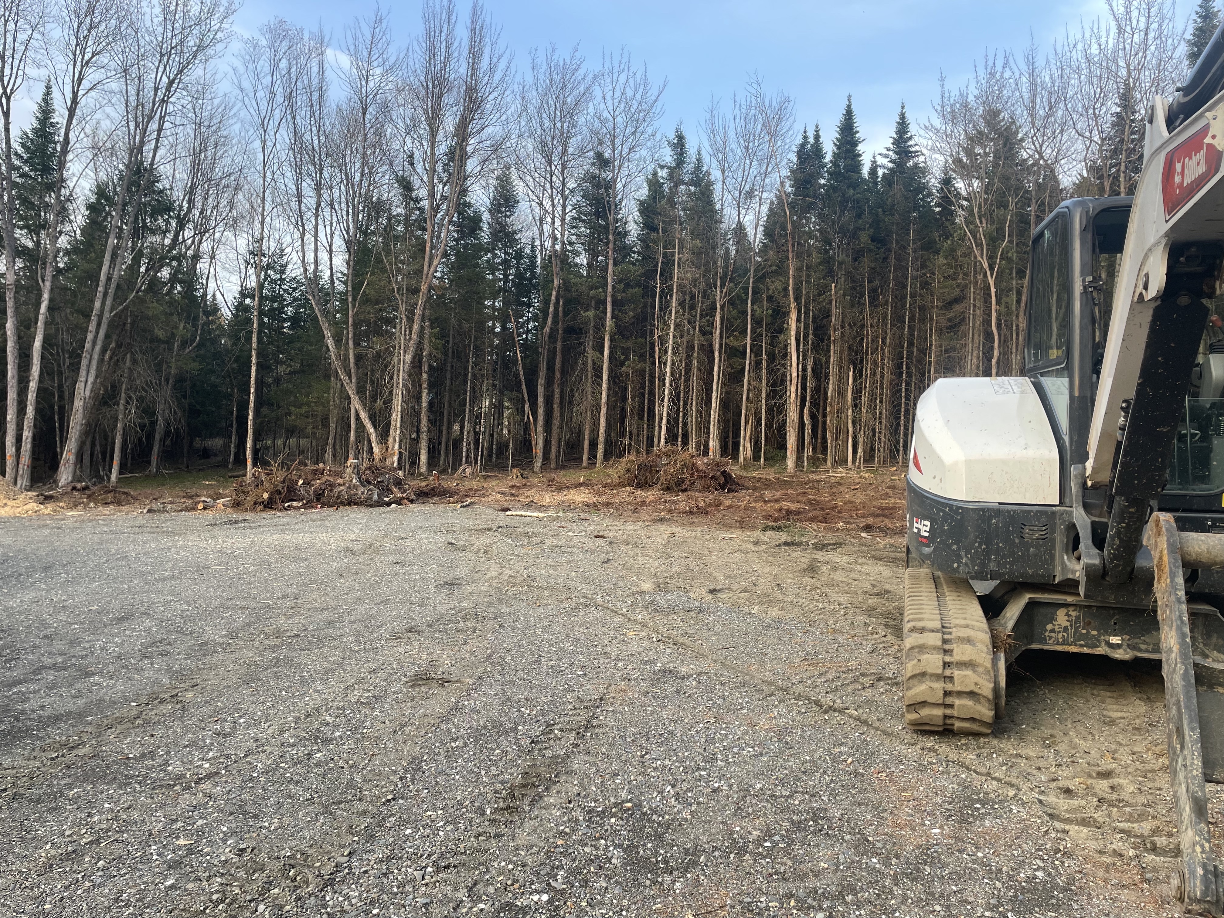 Stump removal and lot clearing